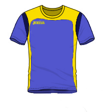 Shirt 2008b