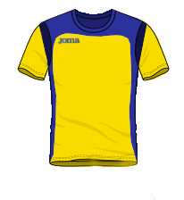 Shirt 2008y